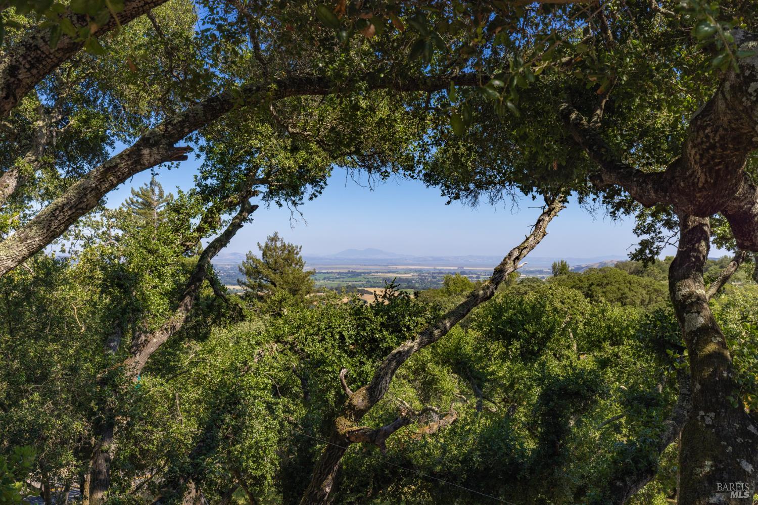 Property photo 42