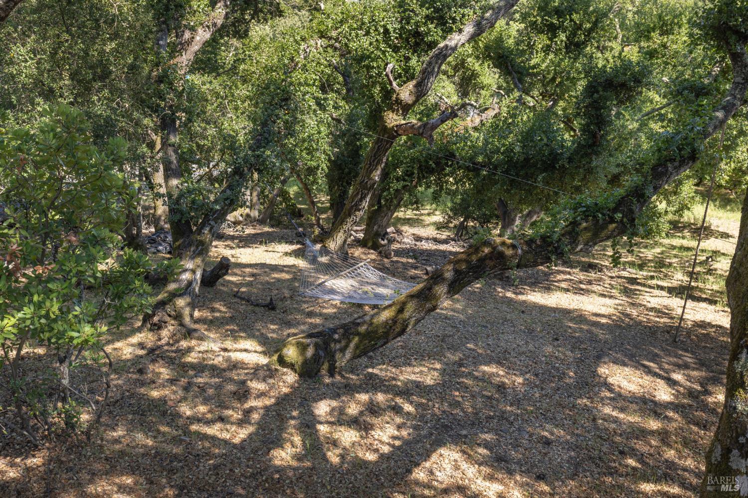 Property photo 51