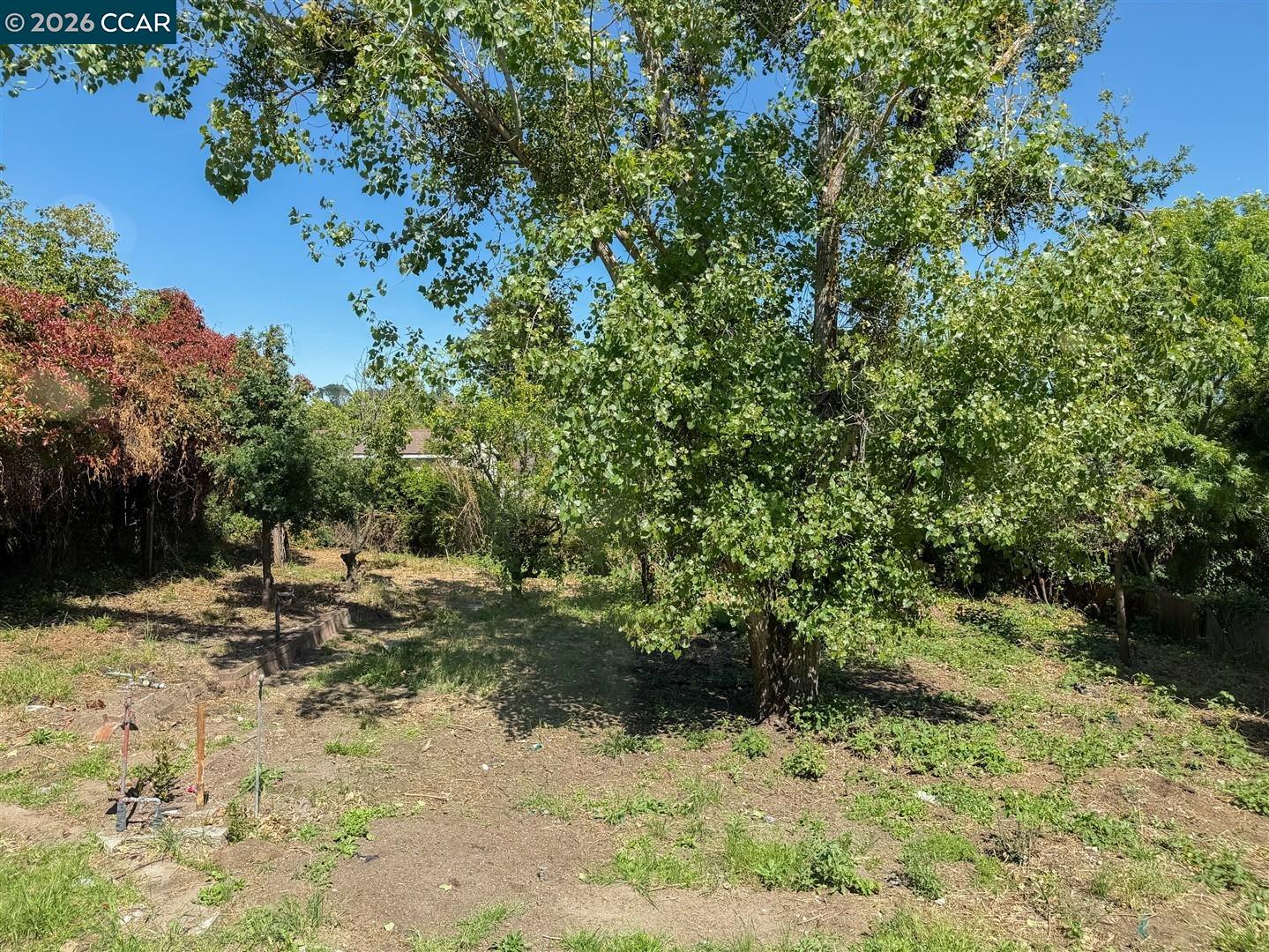 Property photo 37