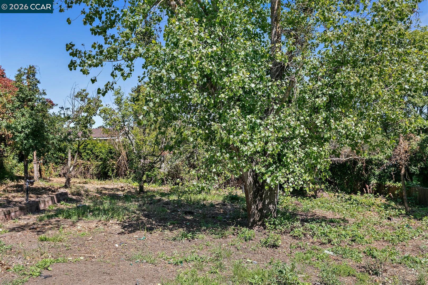 Property photo 39