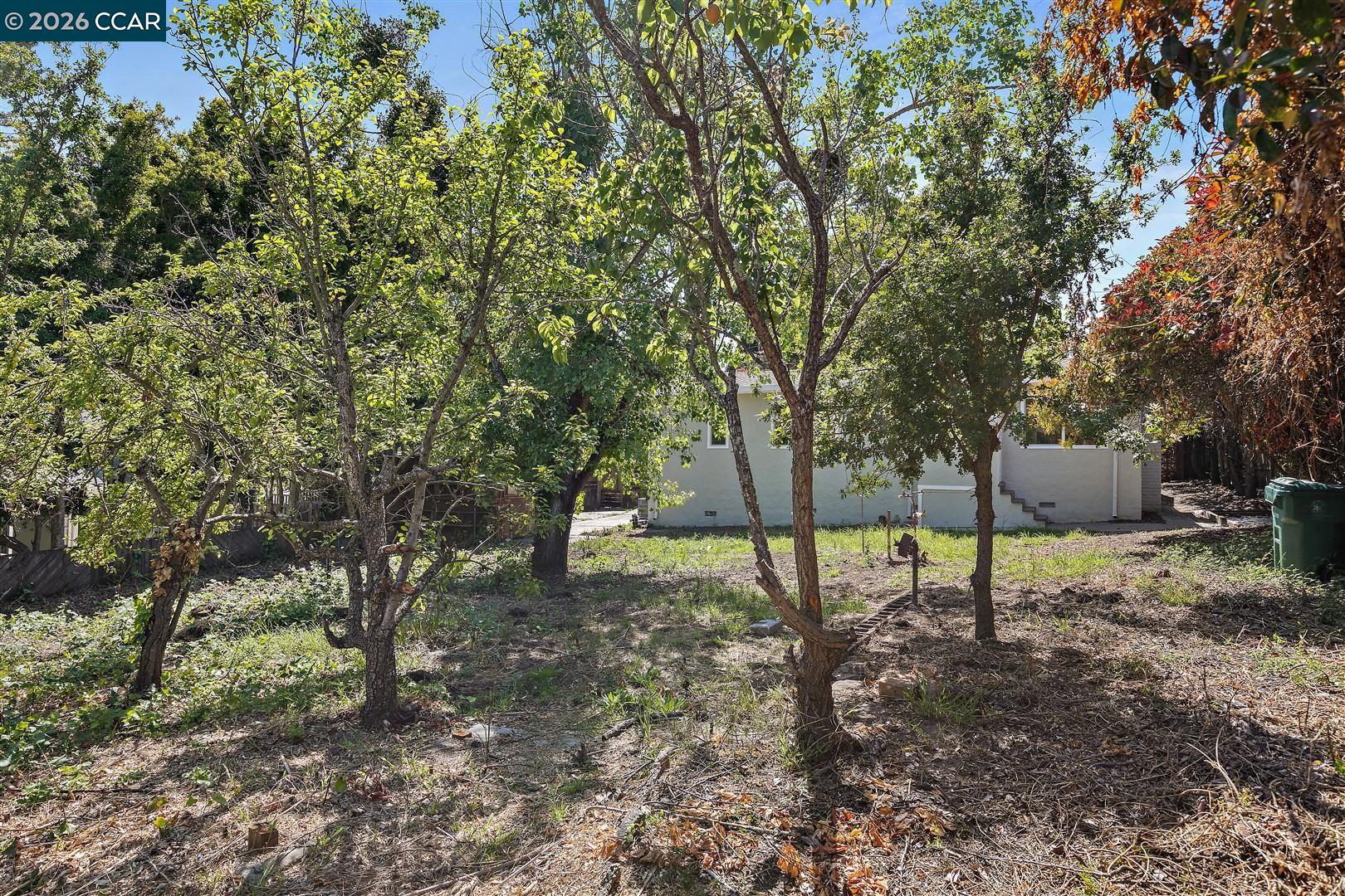 Property photo 41