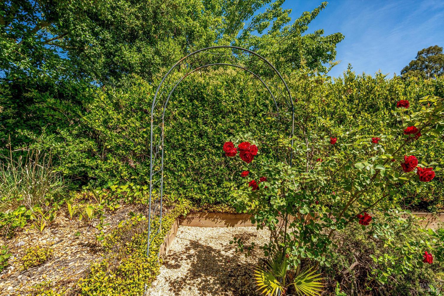Property photo 51