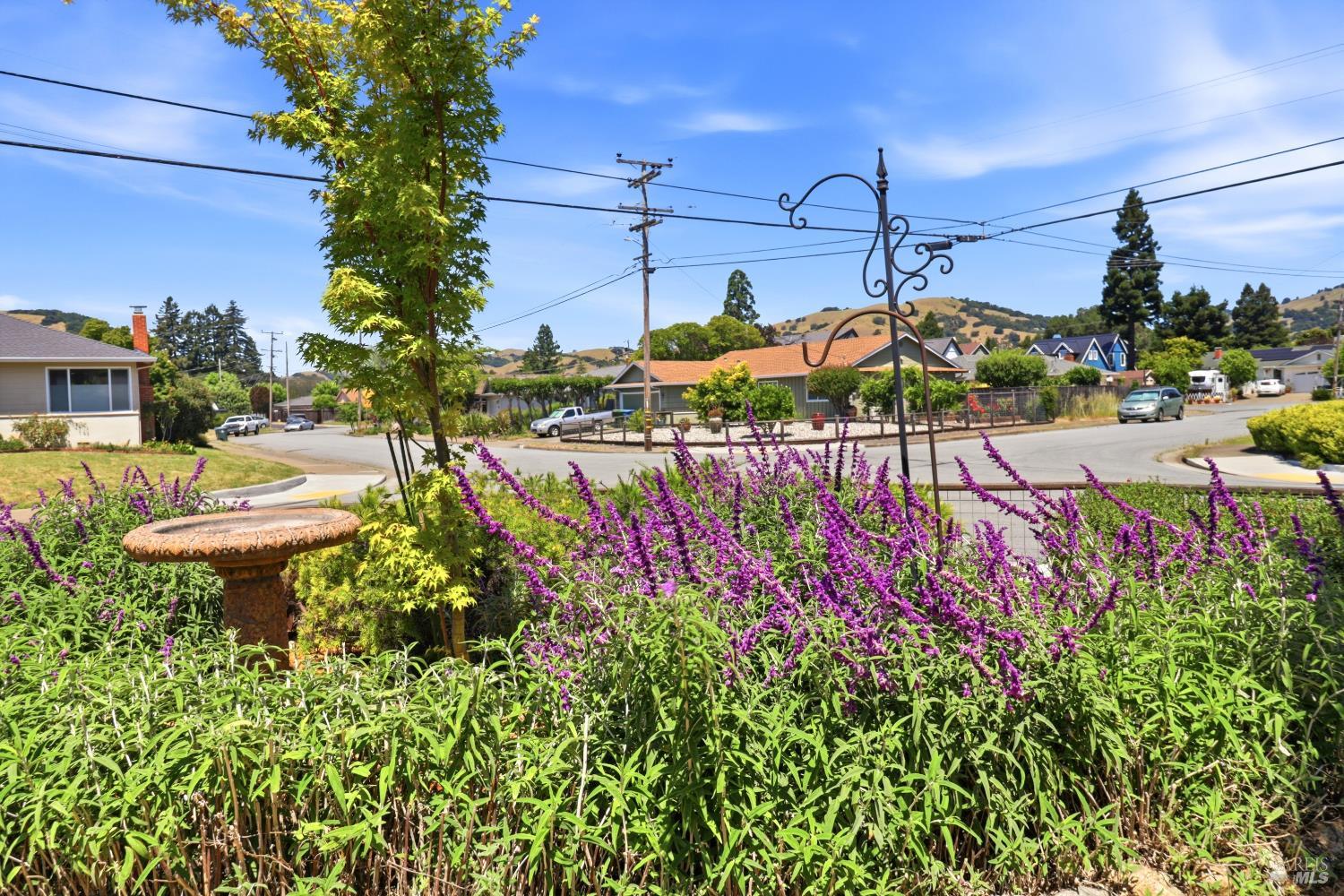 Property photo 48
