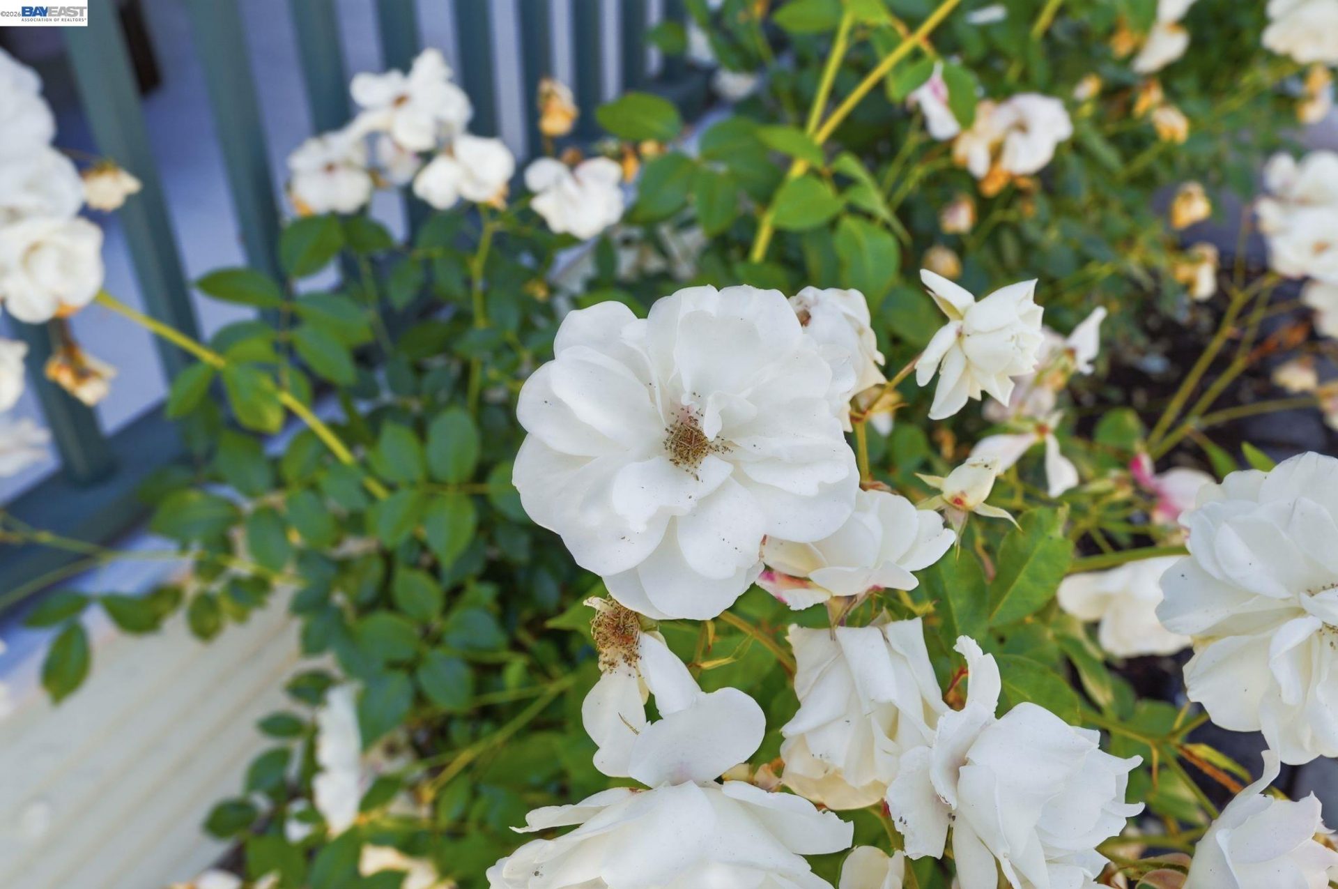 Property photo 44