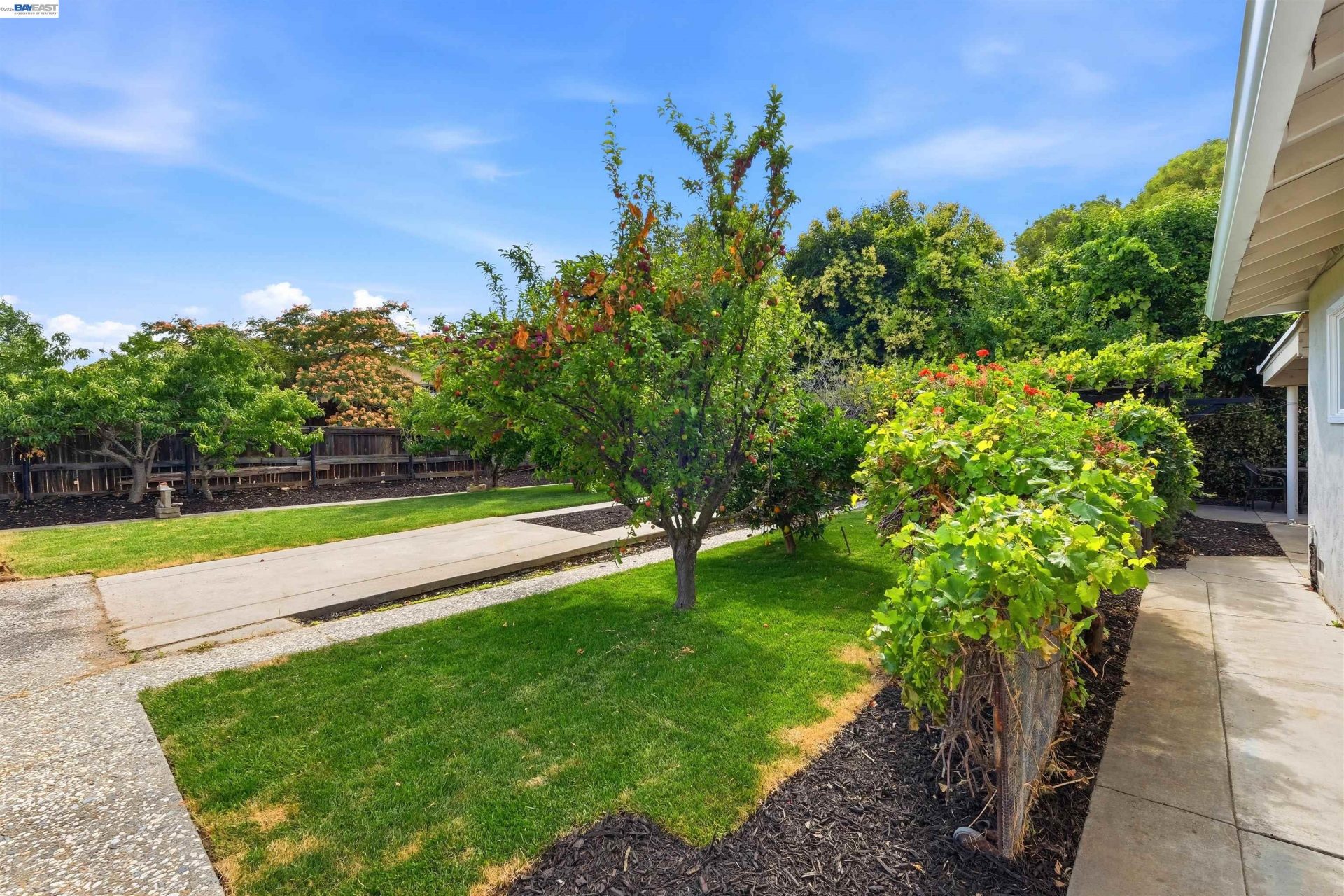 Property photo 50