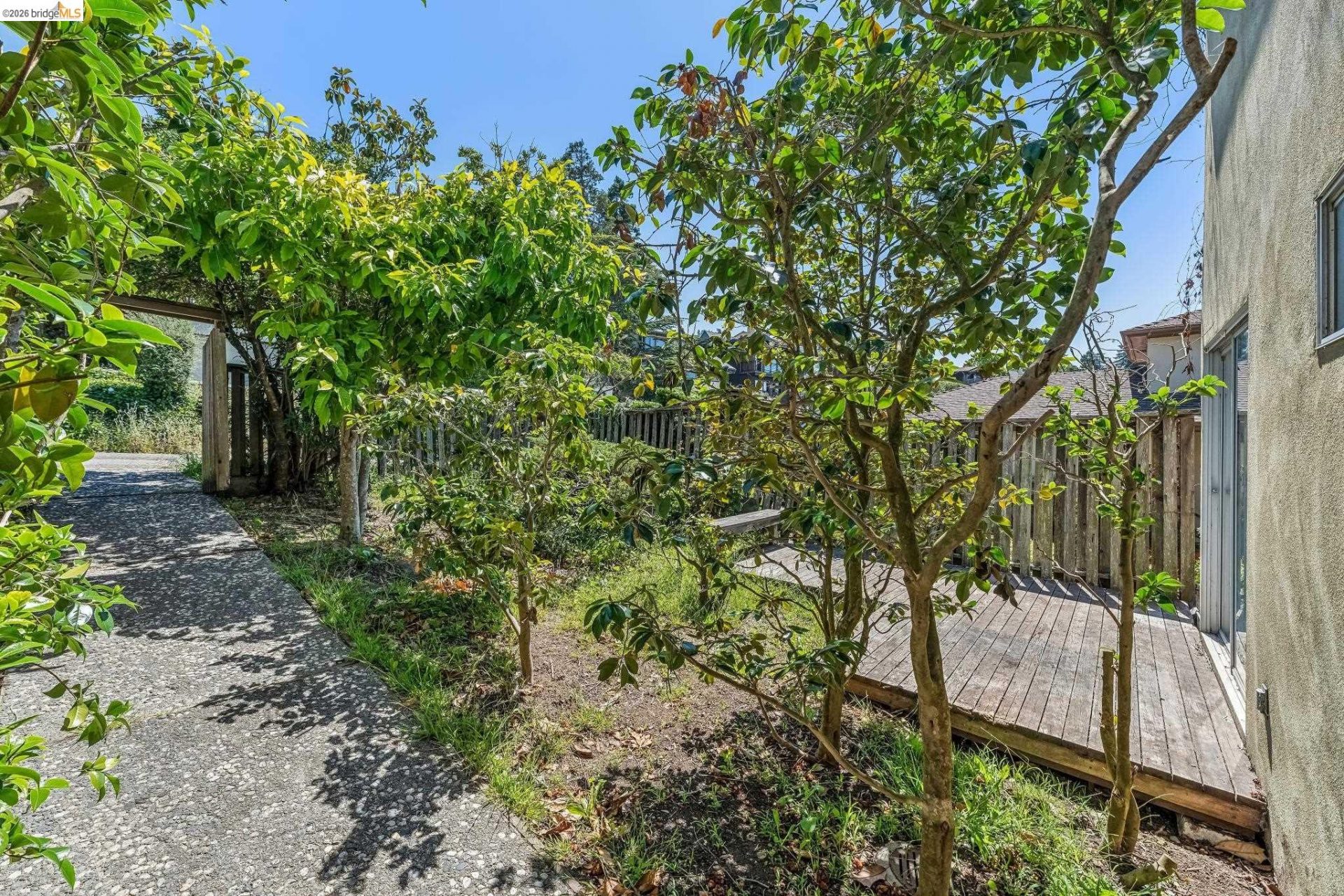 Property photo 39