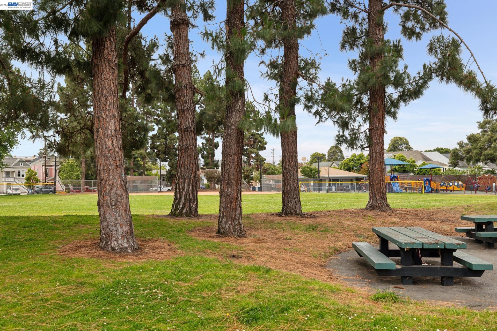 Property photo 43