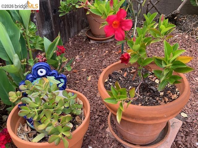 Property photo 43