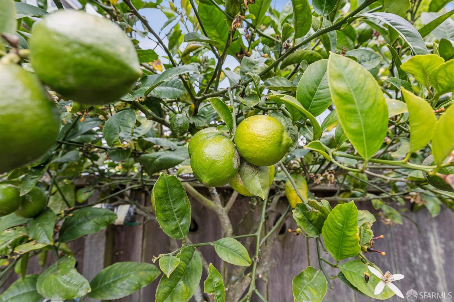 Property photo 45