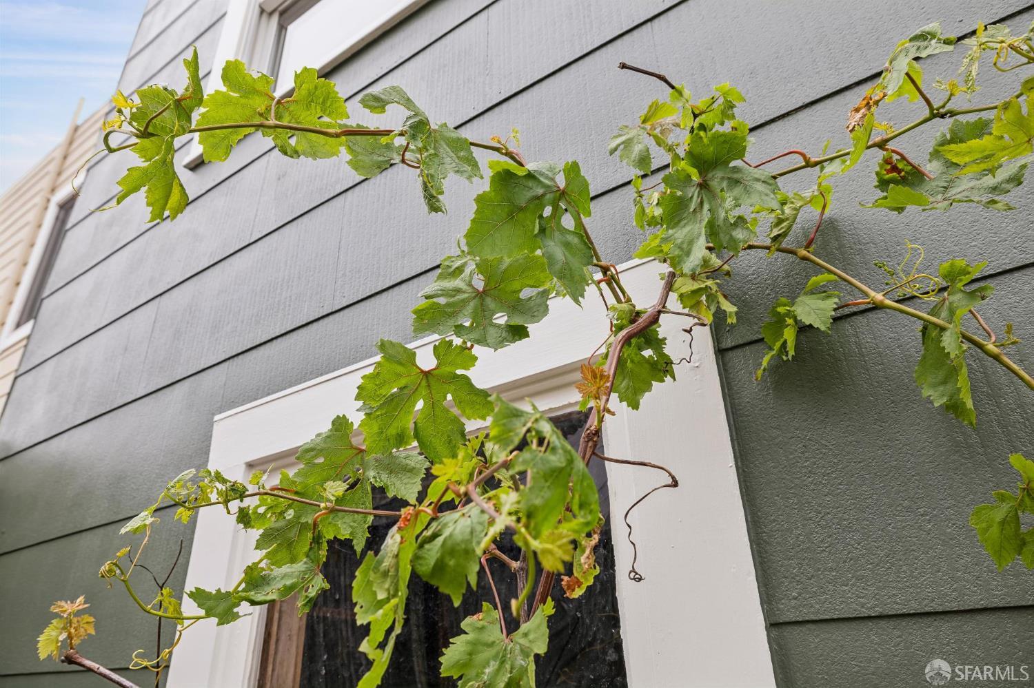 Property photo 46