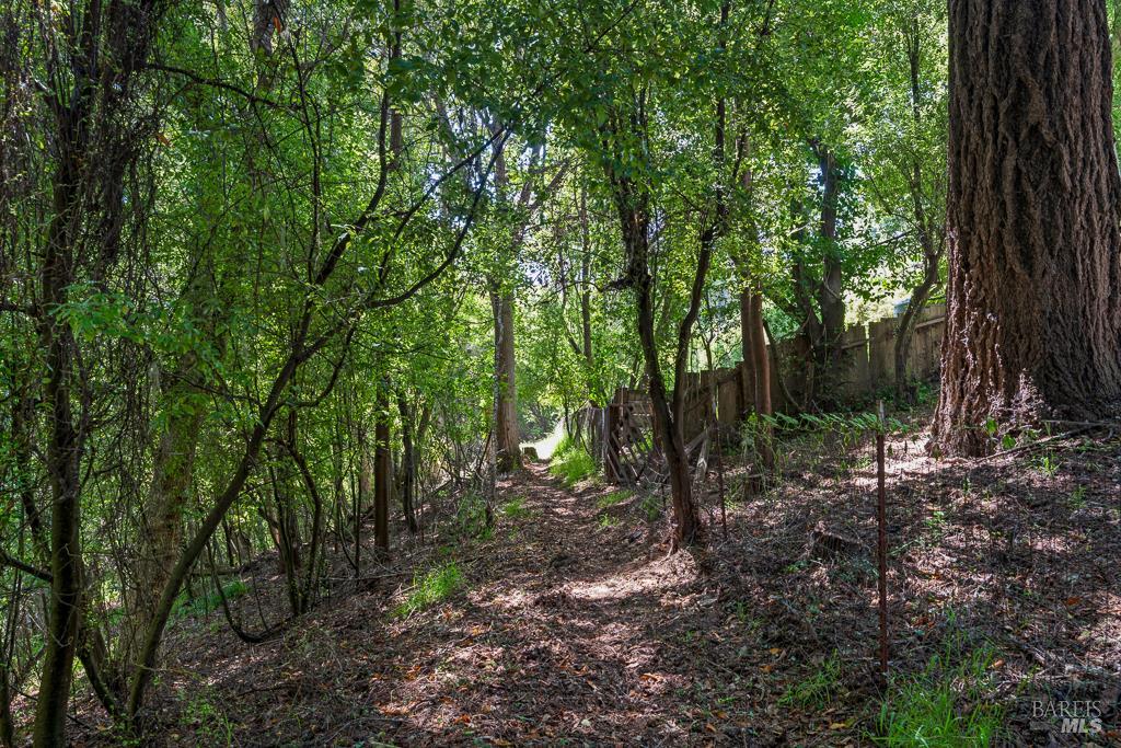 Property photo 42