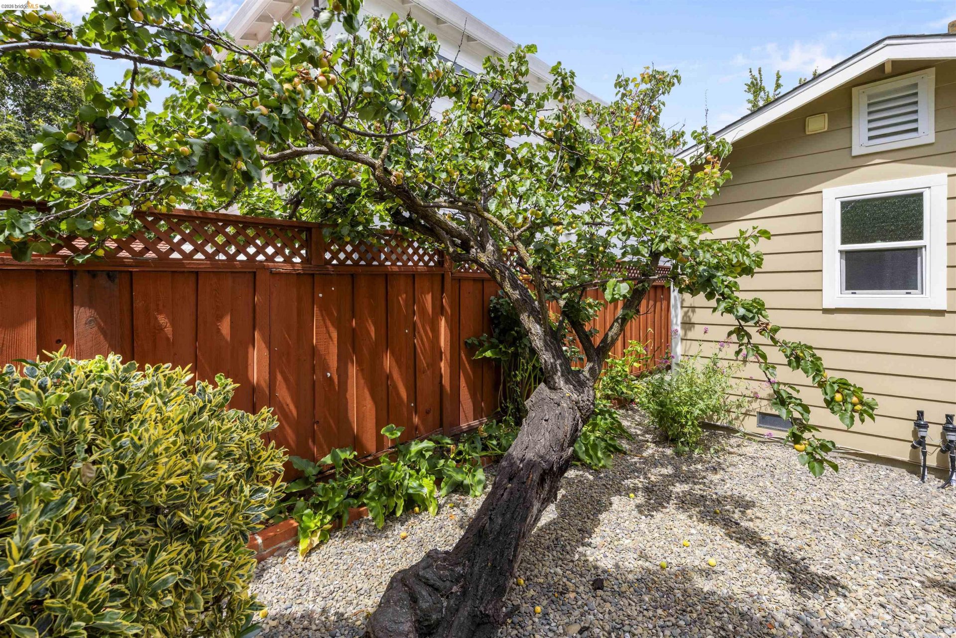 Property photo 44