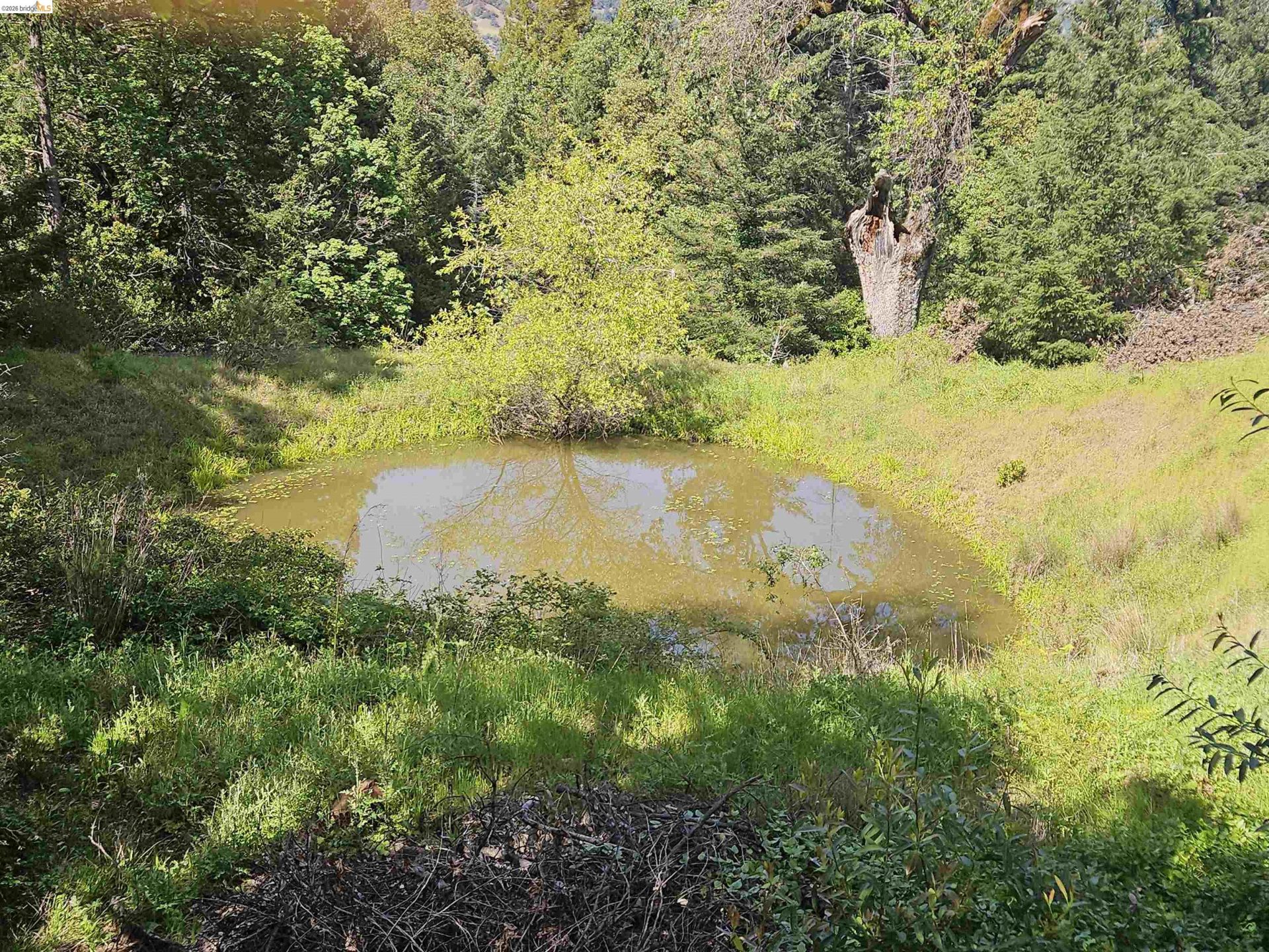 Property photo 47