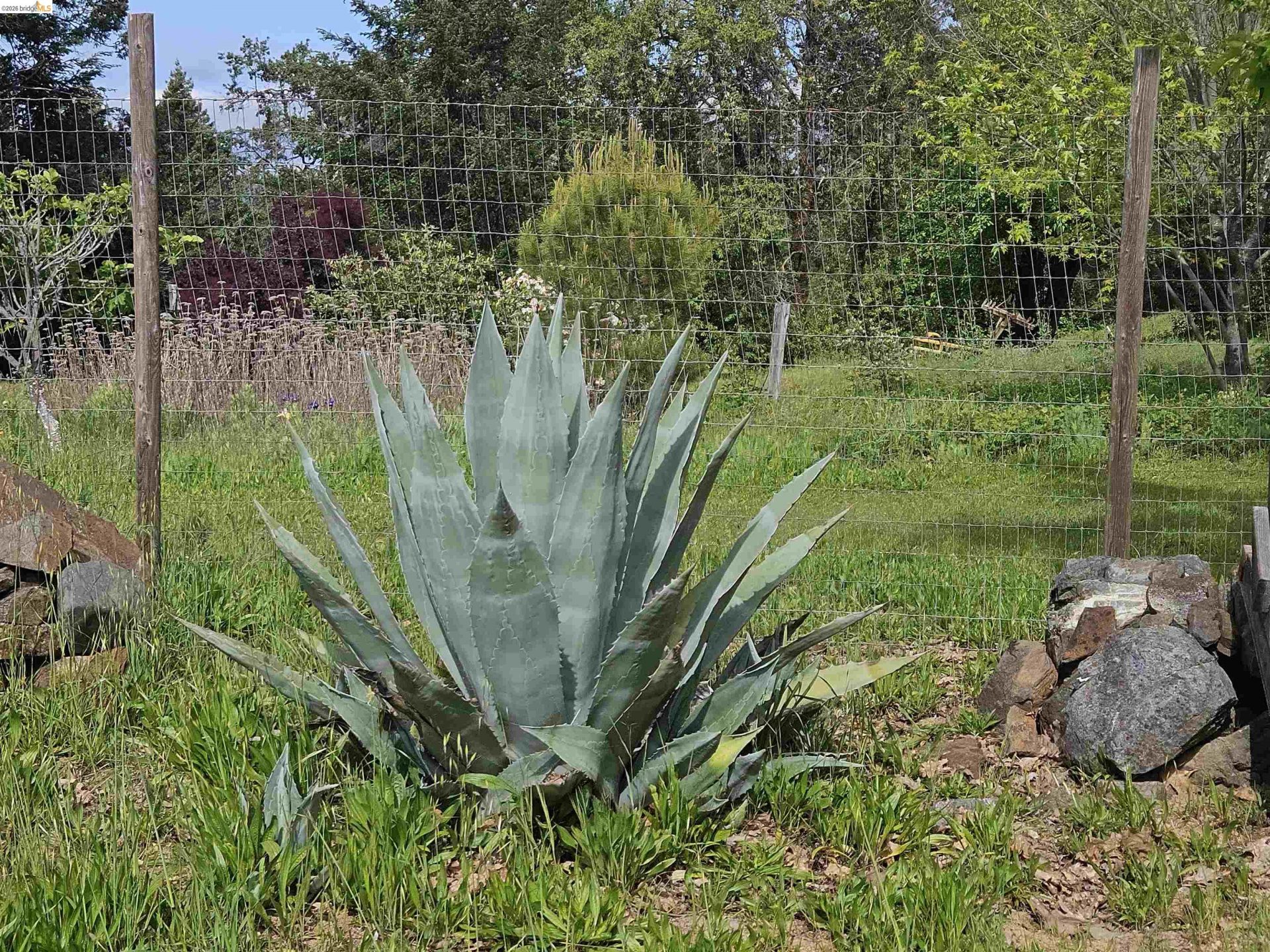 Property photo 49
