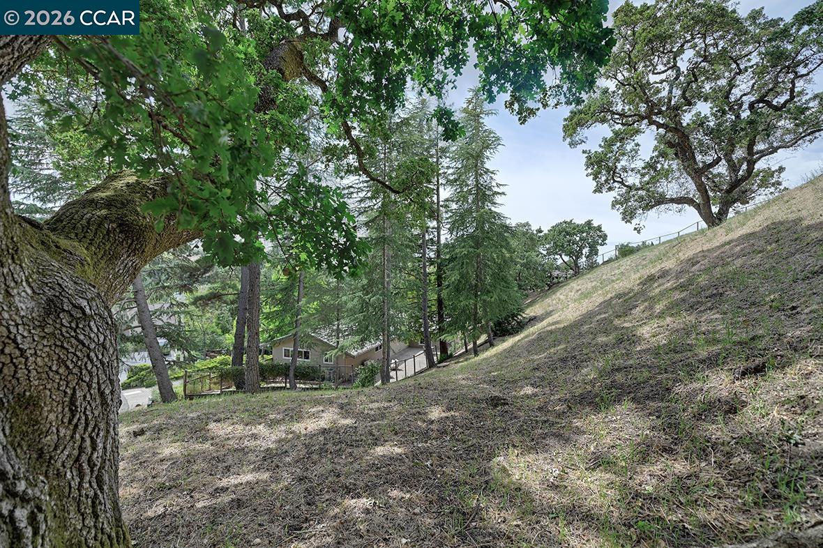 Property photo 47