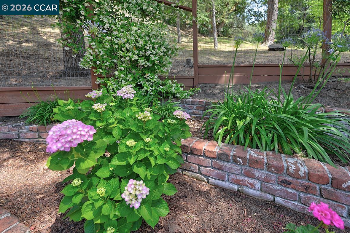 Property photo 48