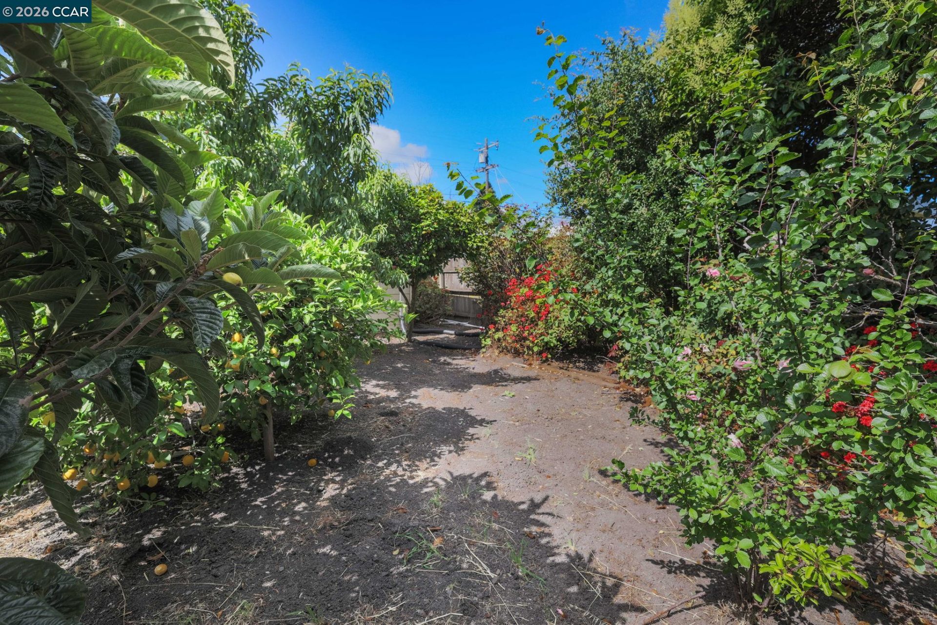 Property photo 29