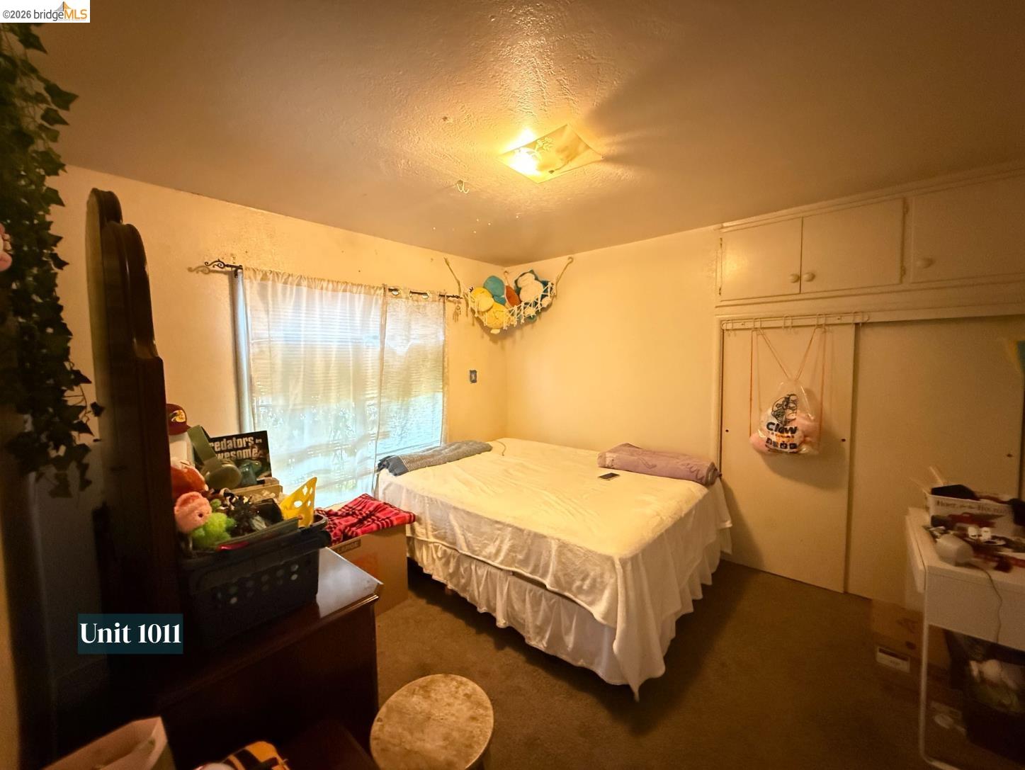 Property photo 40