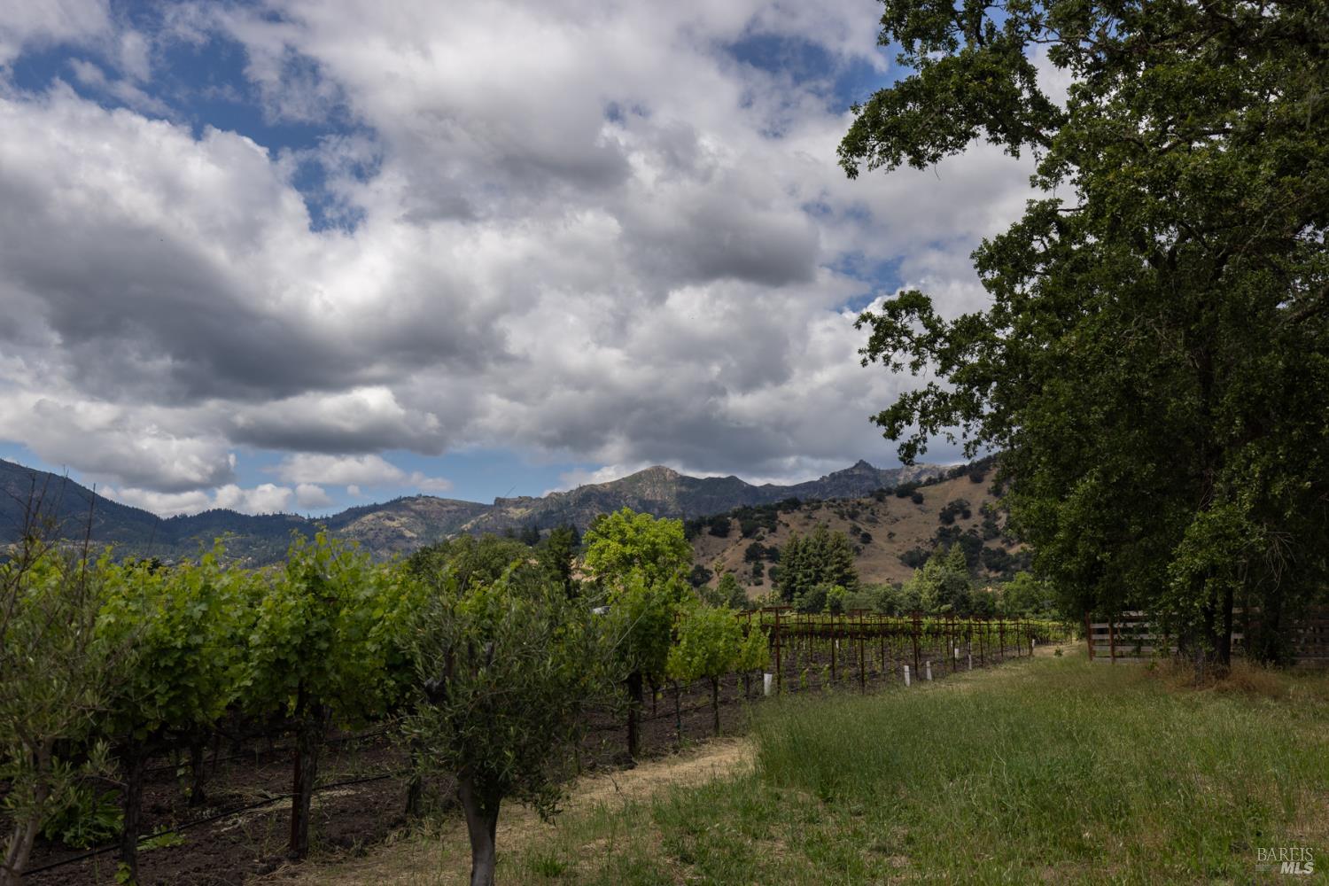 Property photo 20