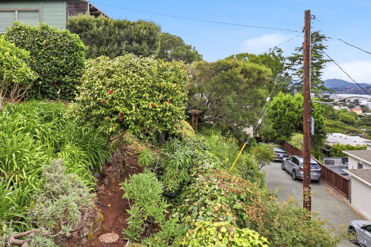 Property photo 41