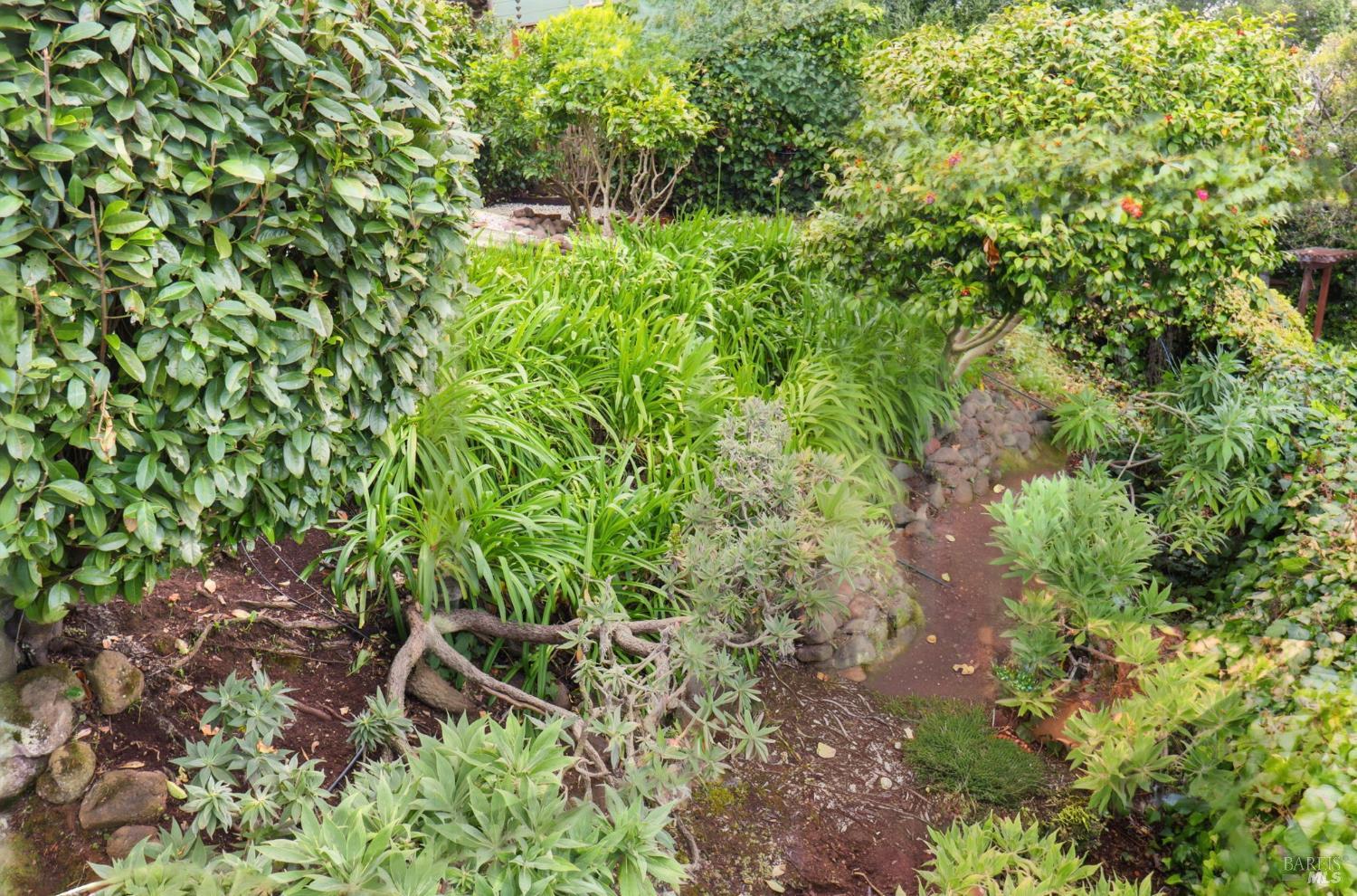 Property photo 42