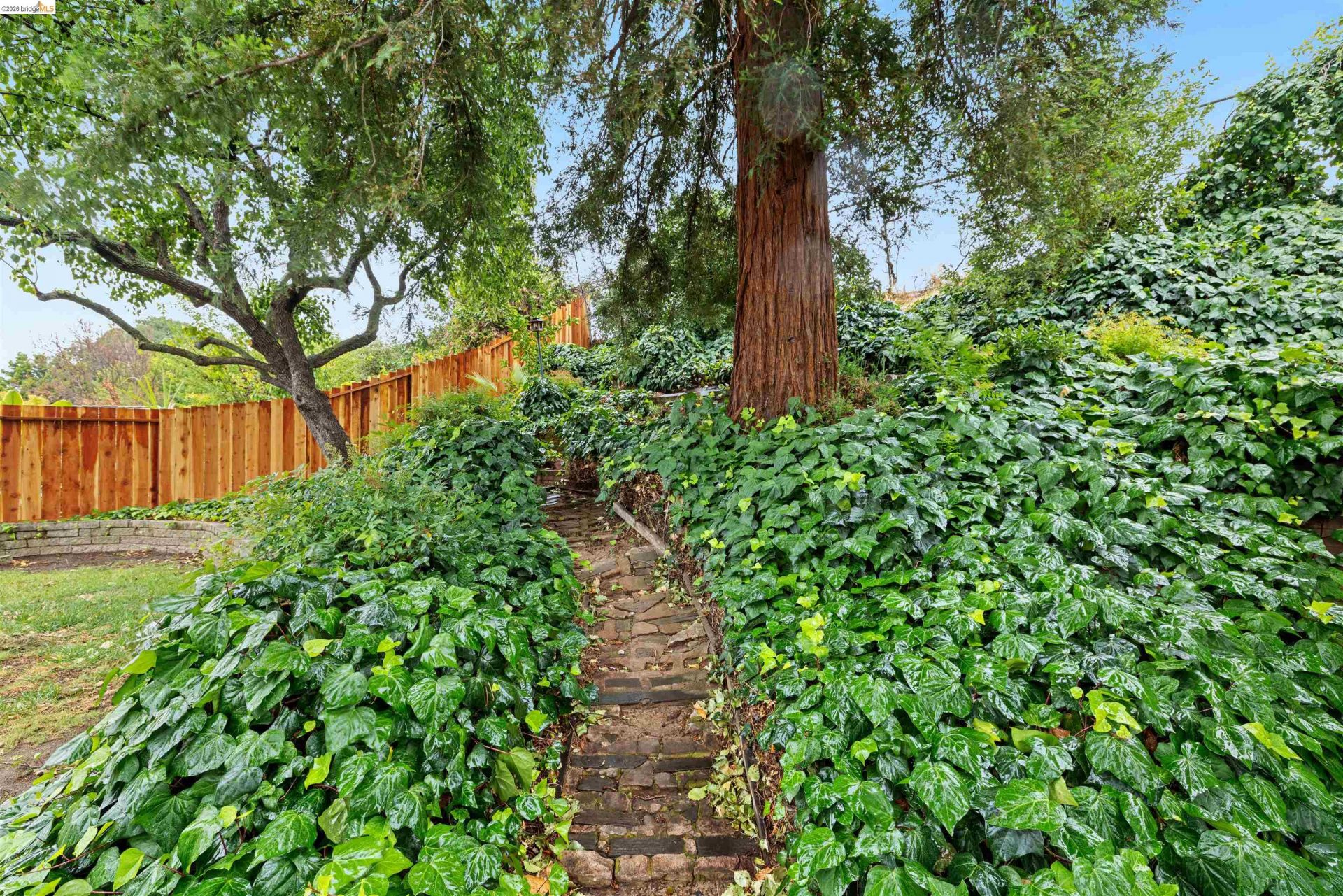 Property photo 44