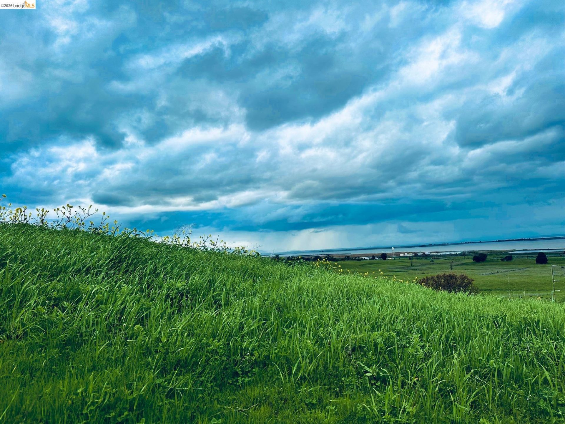 Property photo 50