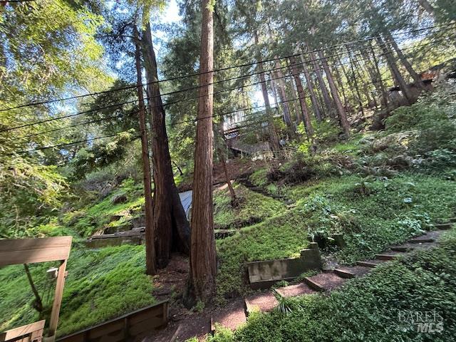Property photo 40