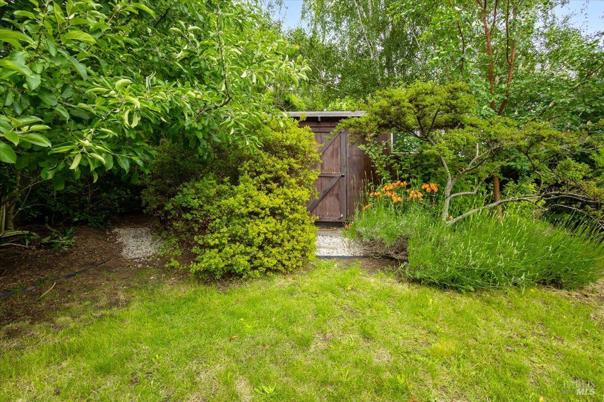 Property photo 46
