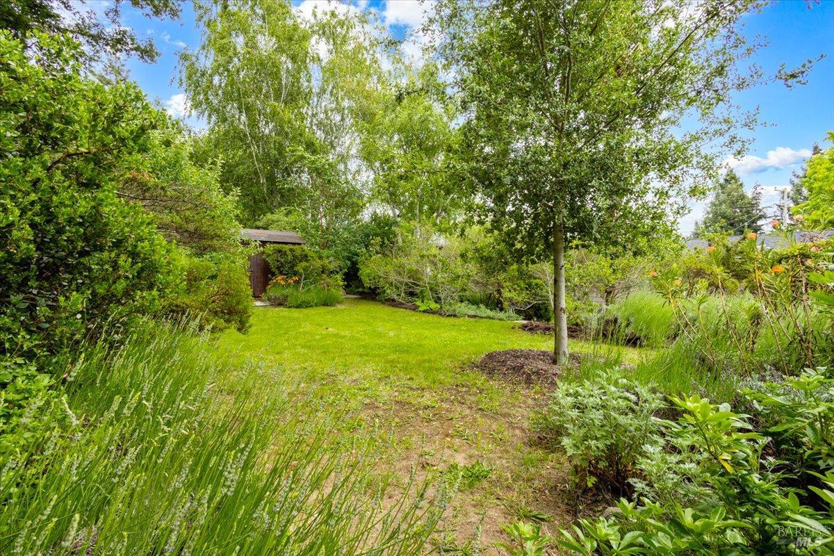 Property photo 47