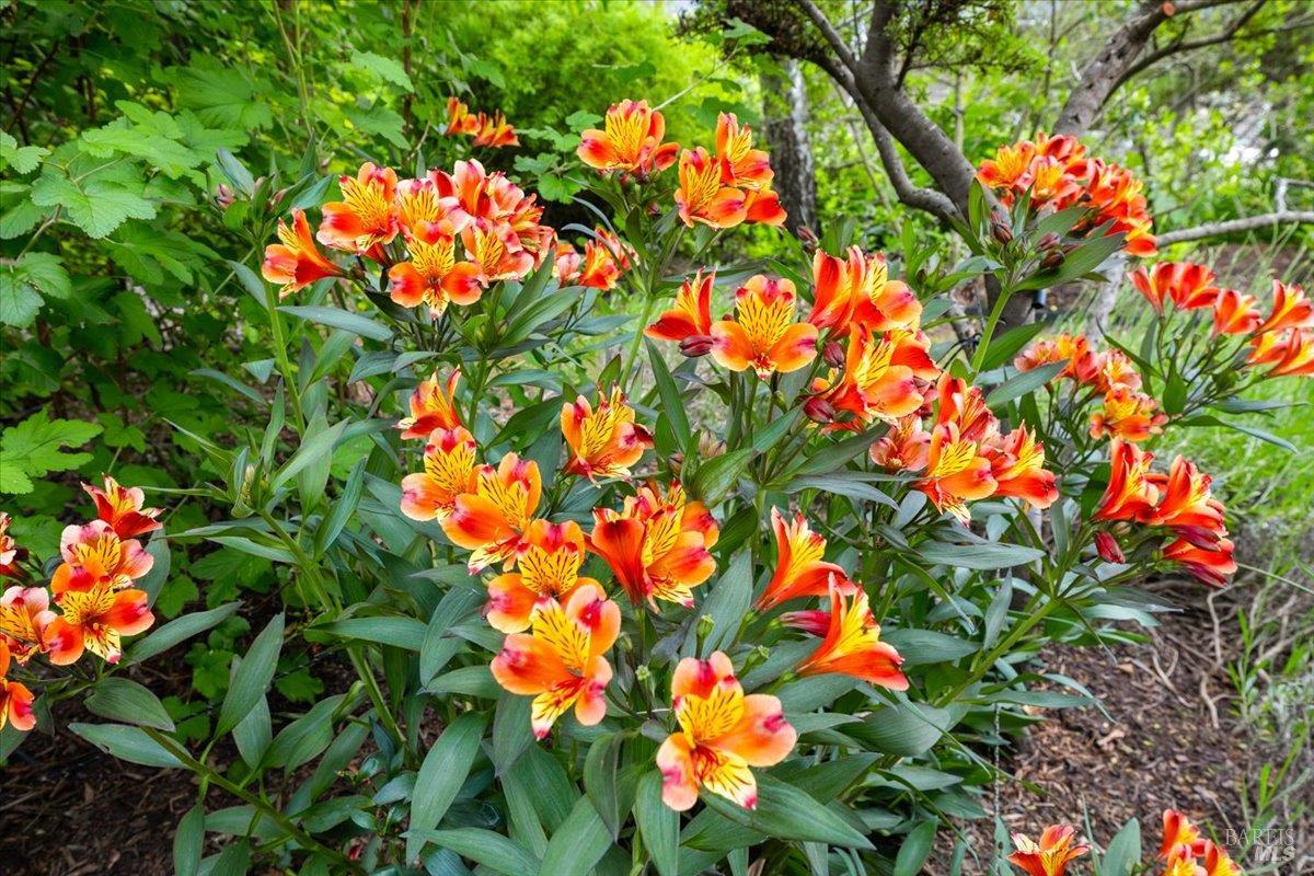 Property photo 48