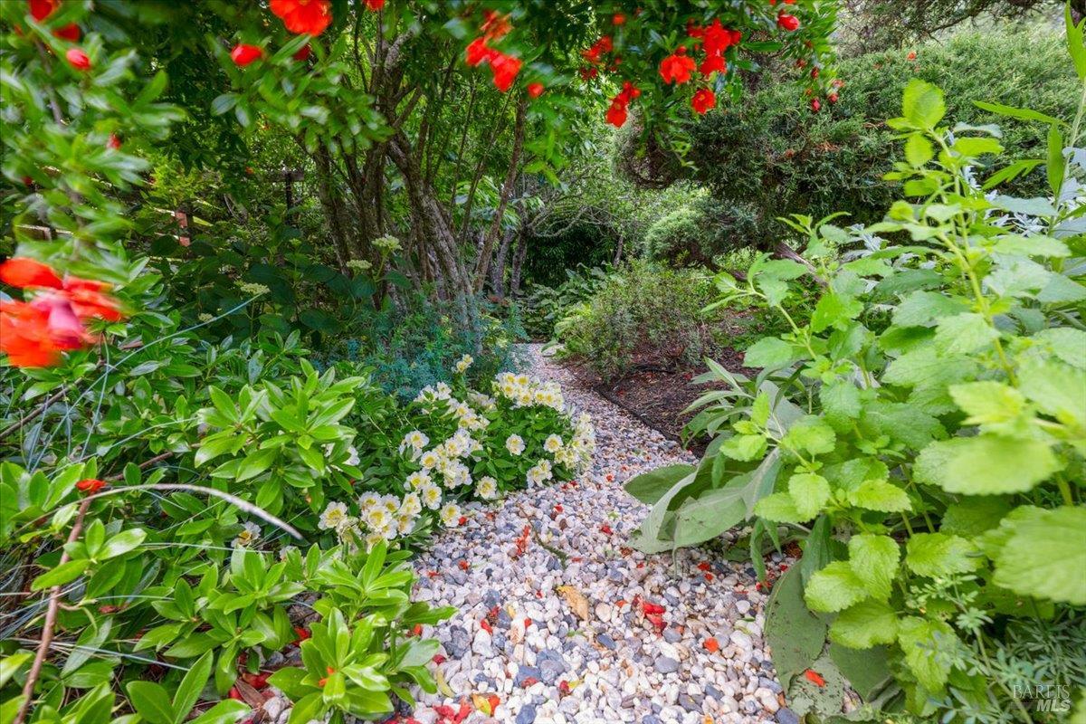 Property photo 49