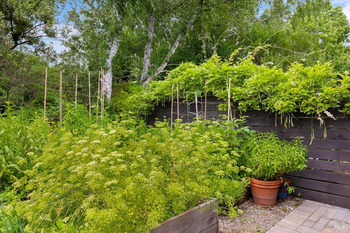 Property photo 50