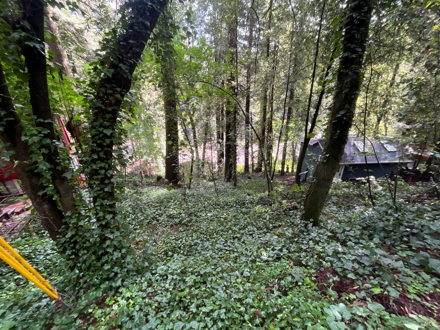 Property photo 12