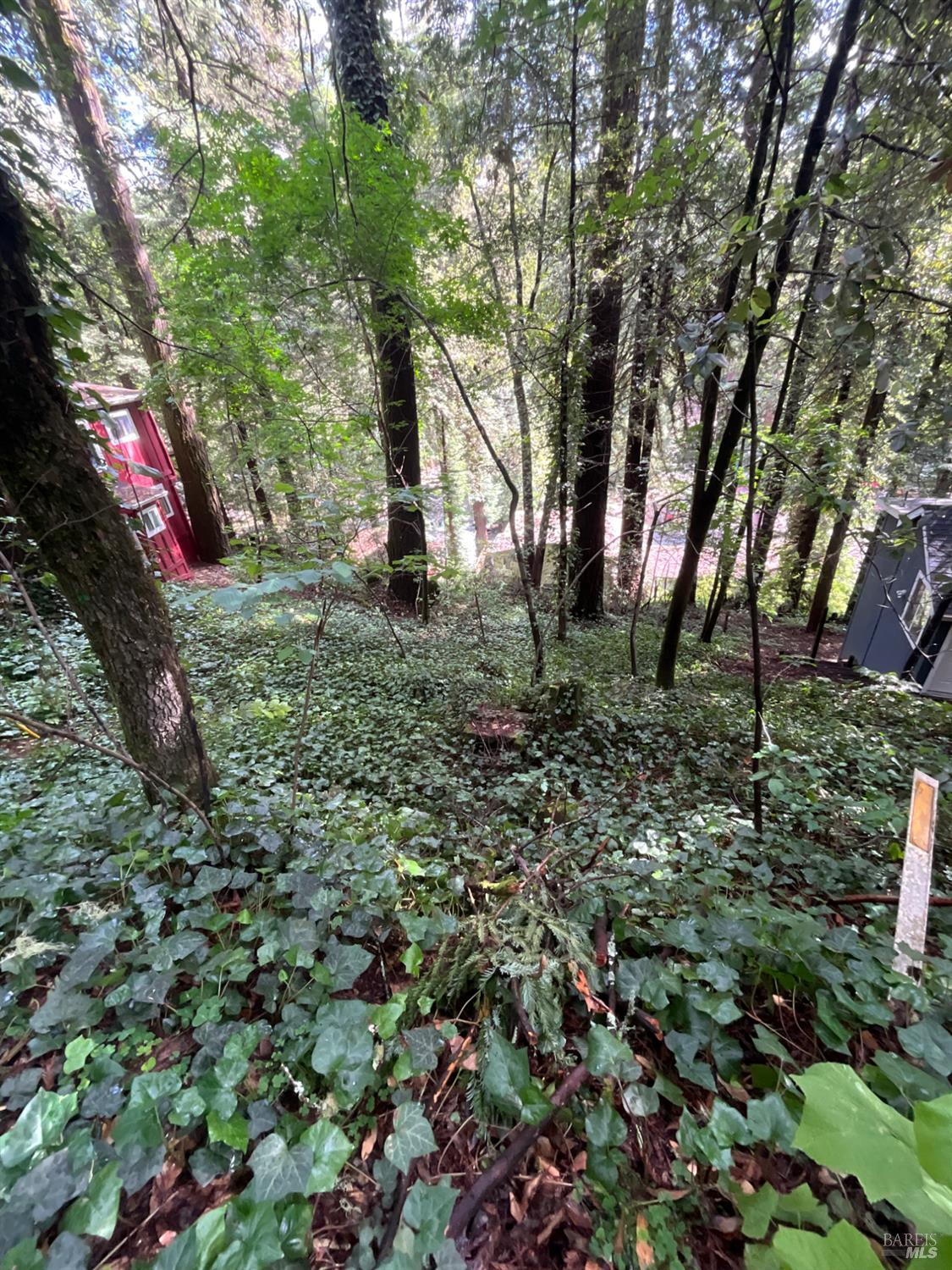 Property photo 19