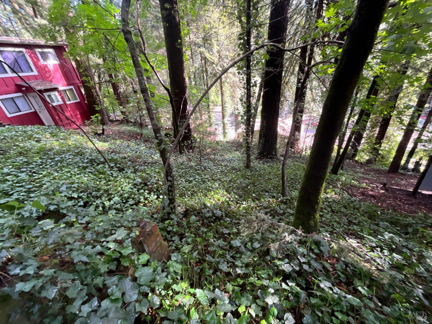 Property photo 23