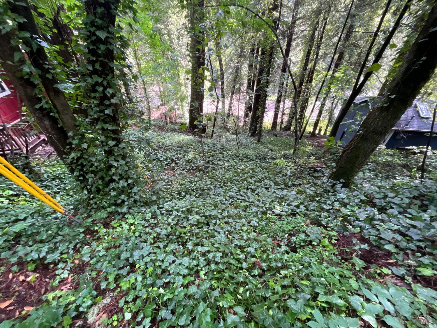 Property photo 24