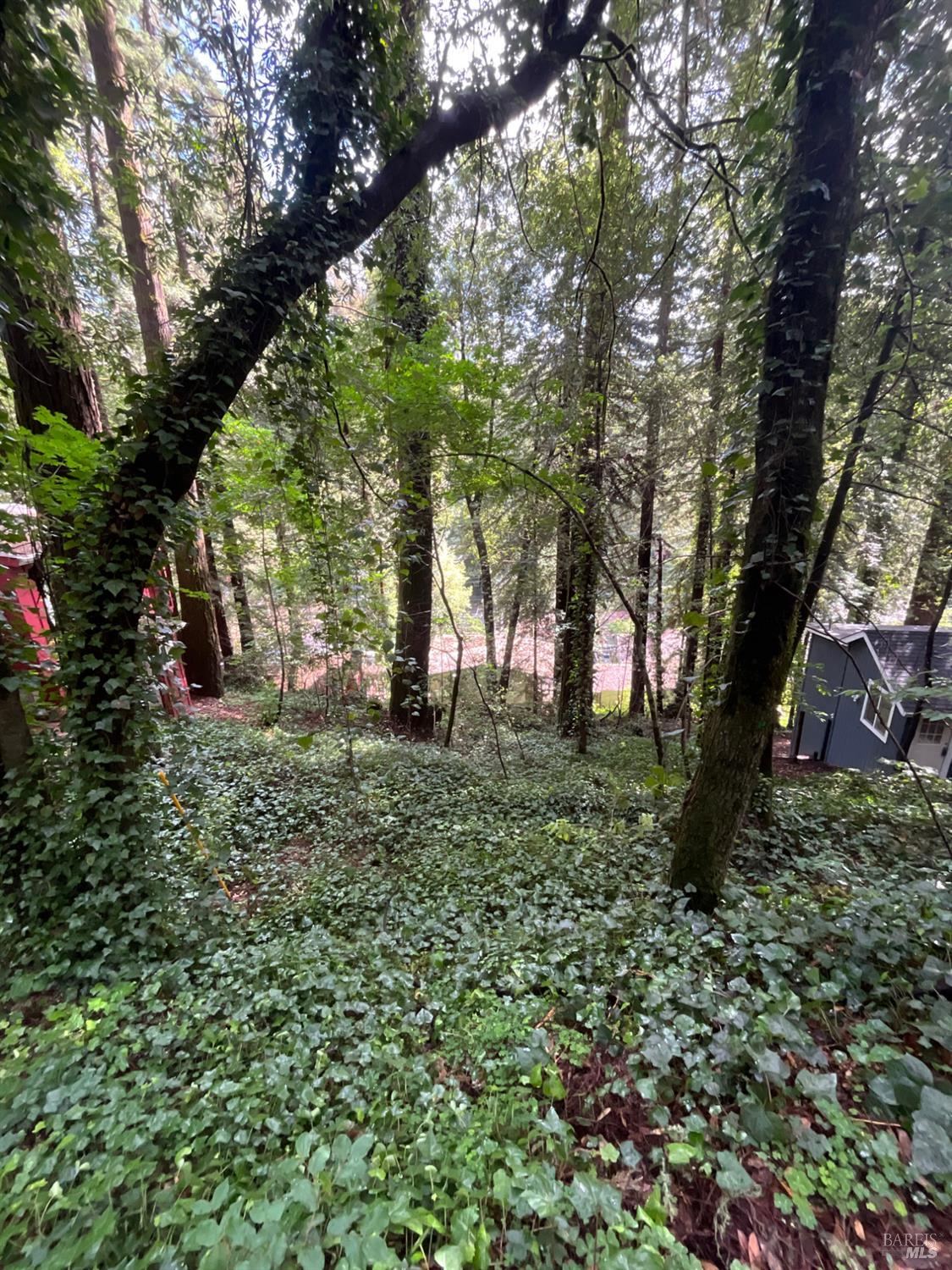 Property photo 25