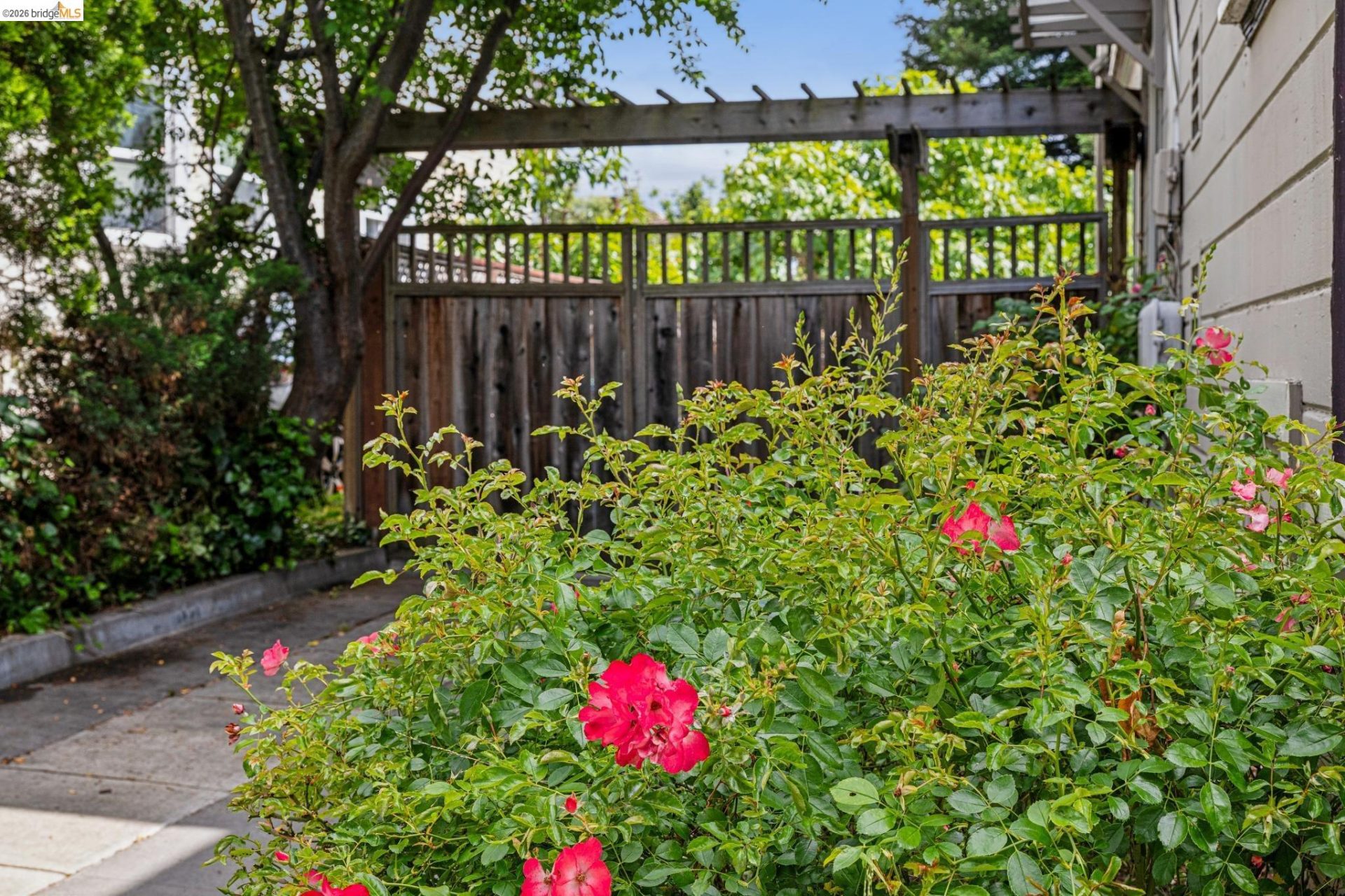 Property photo 39