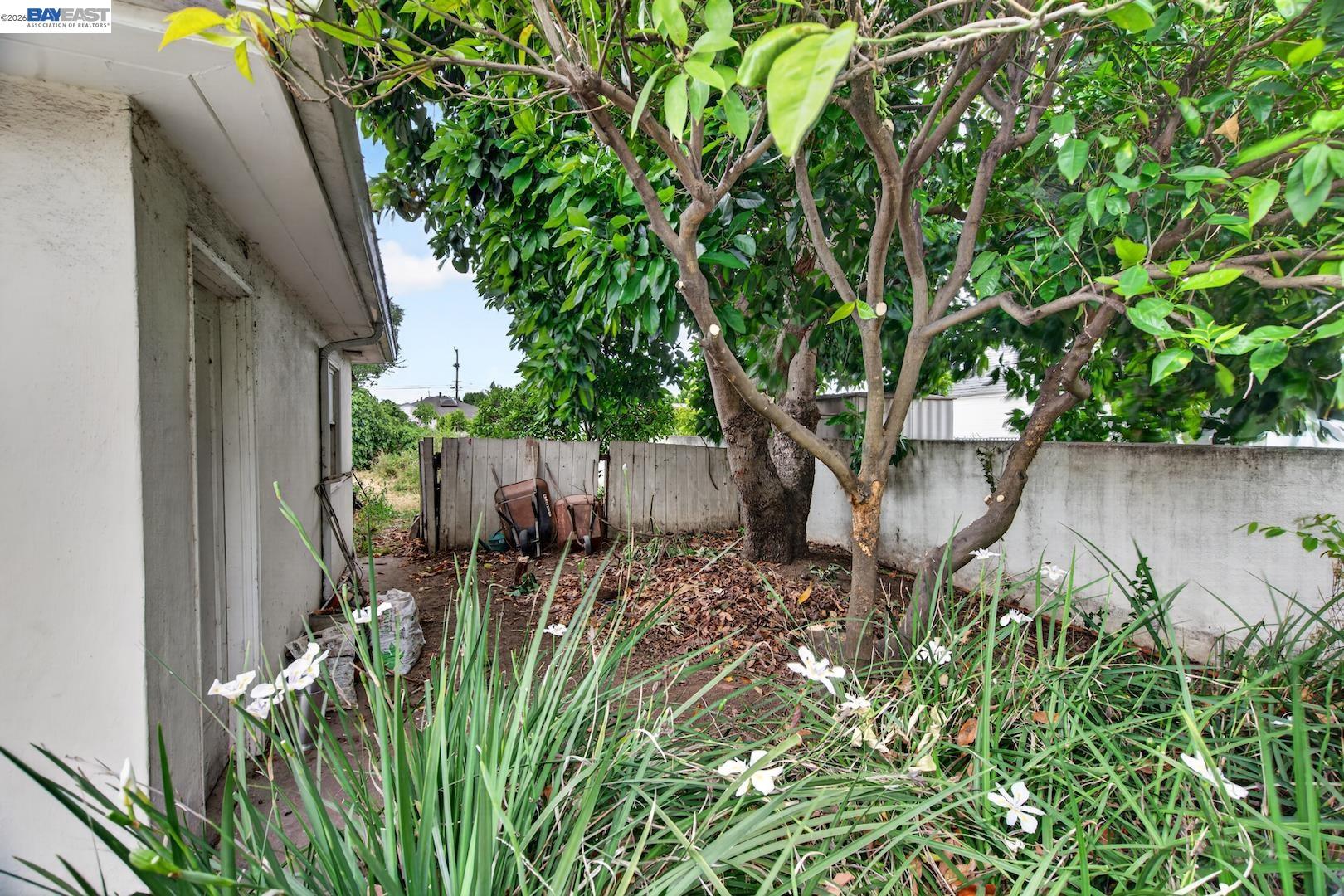 Property photo 43