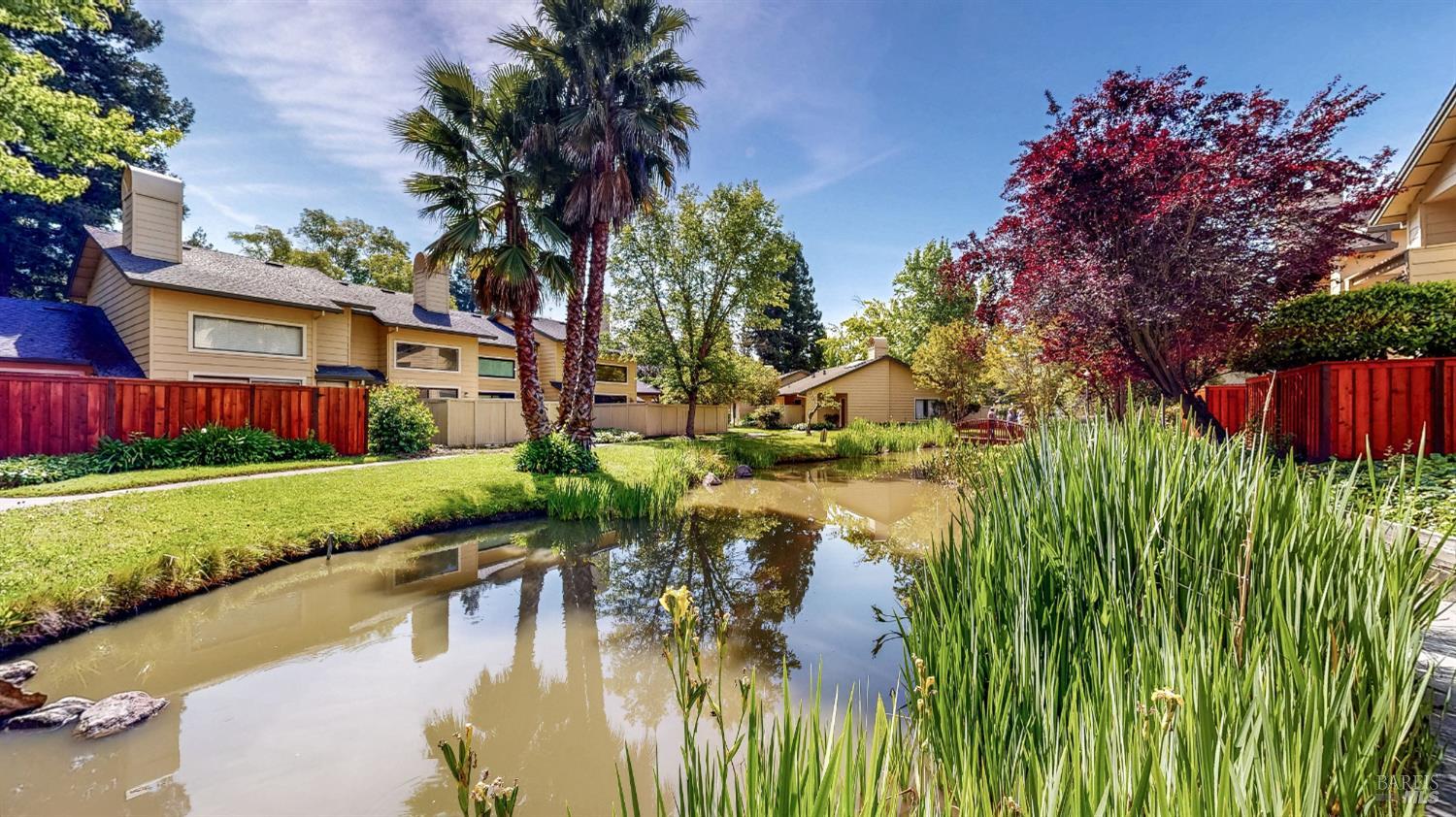 Property photo 48