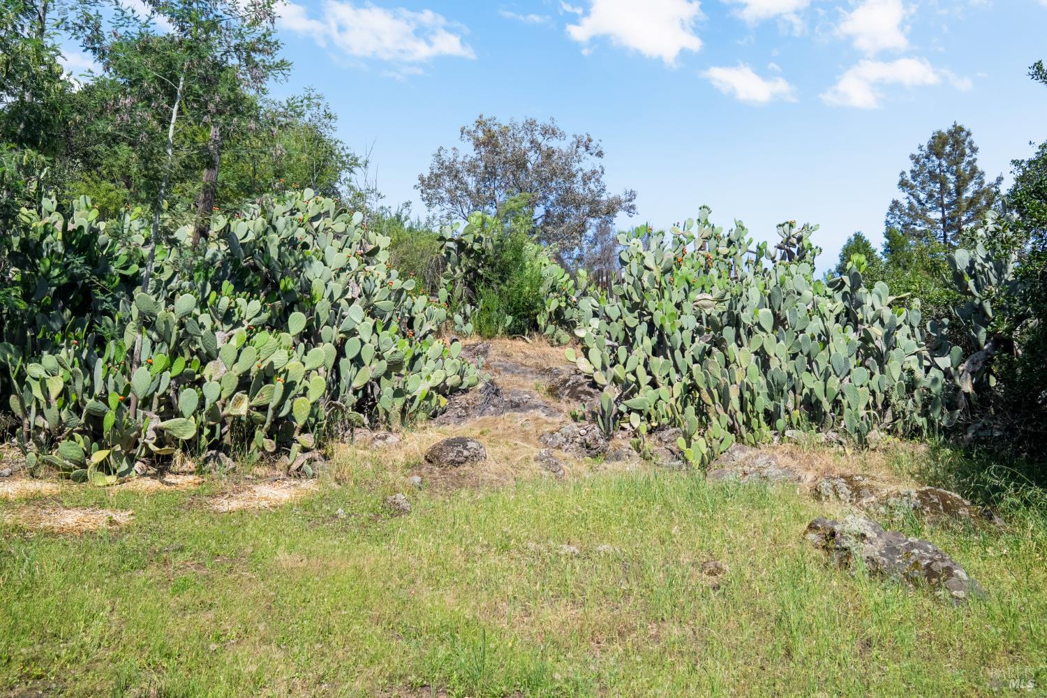 Property photo 33