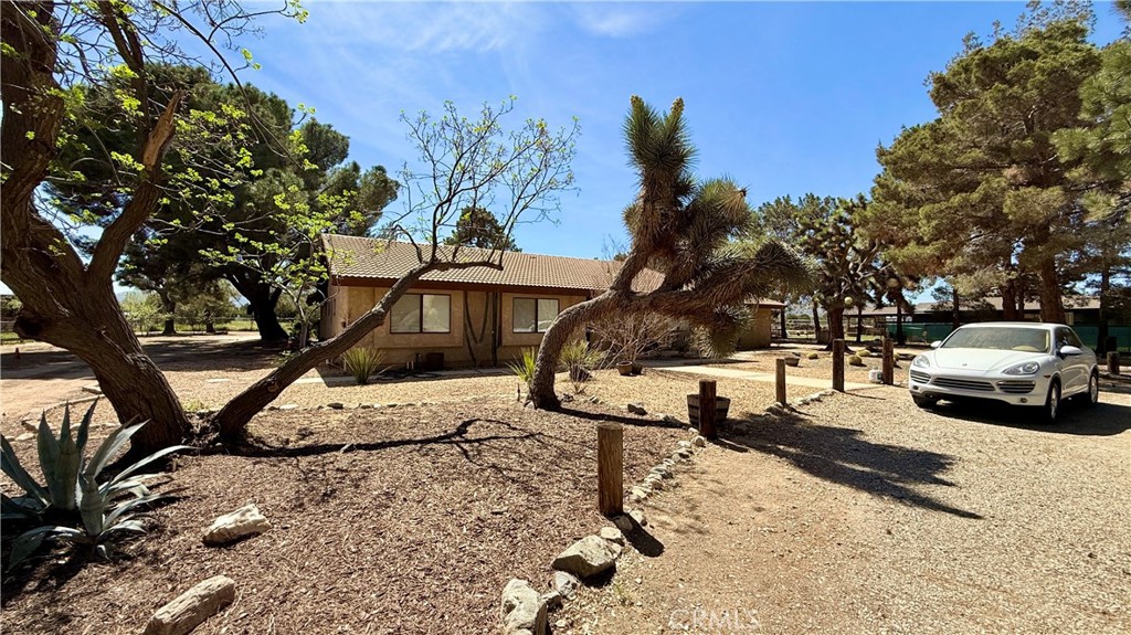 Property photo 23