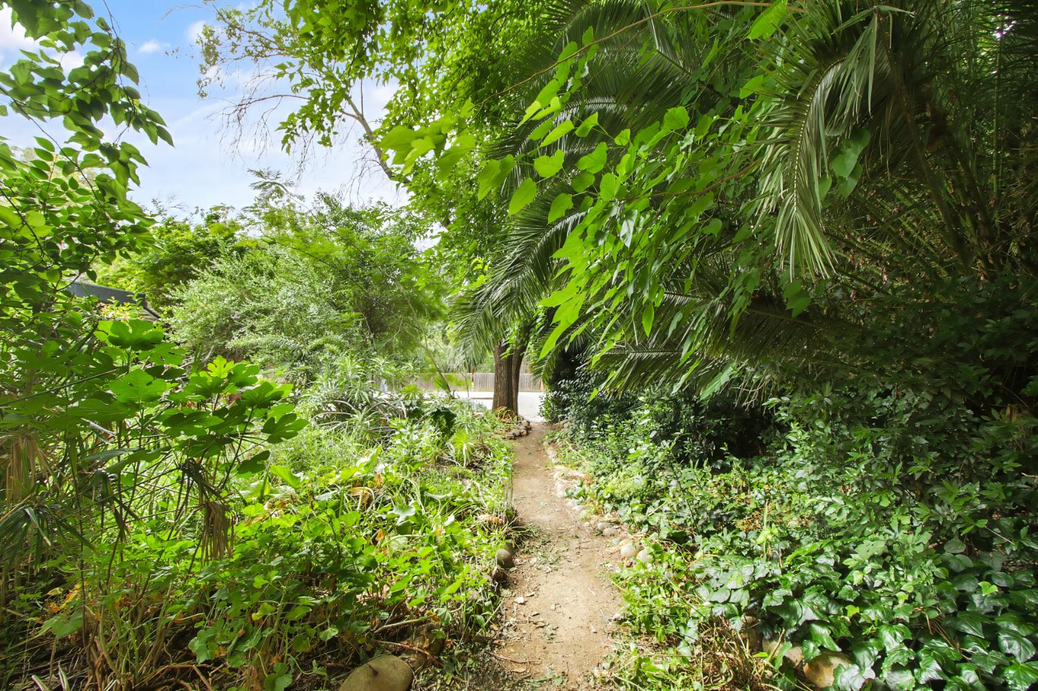 Property photo 45