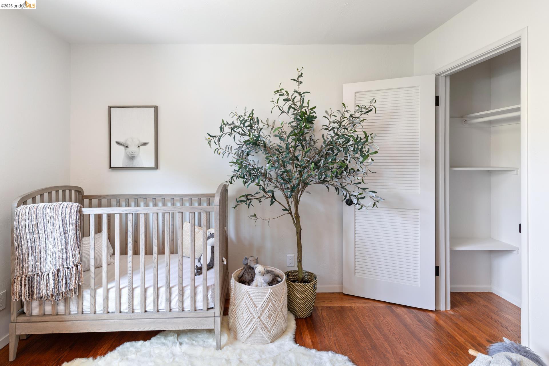 Property photo 44