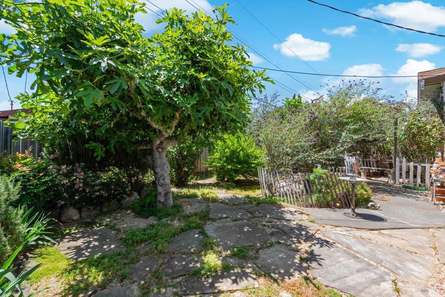 Property photo 40