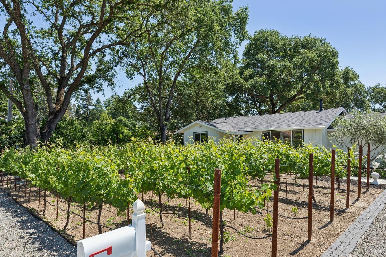 Property photo 49