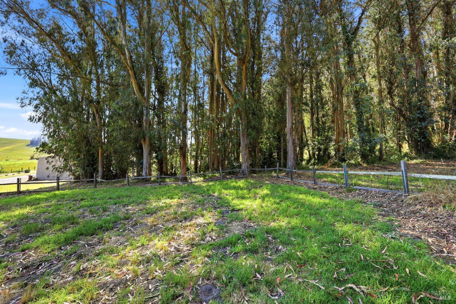 Property photo 44
