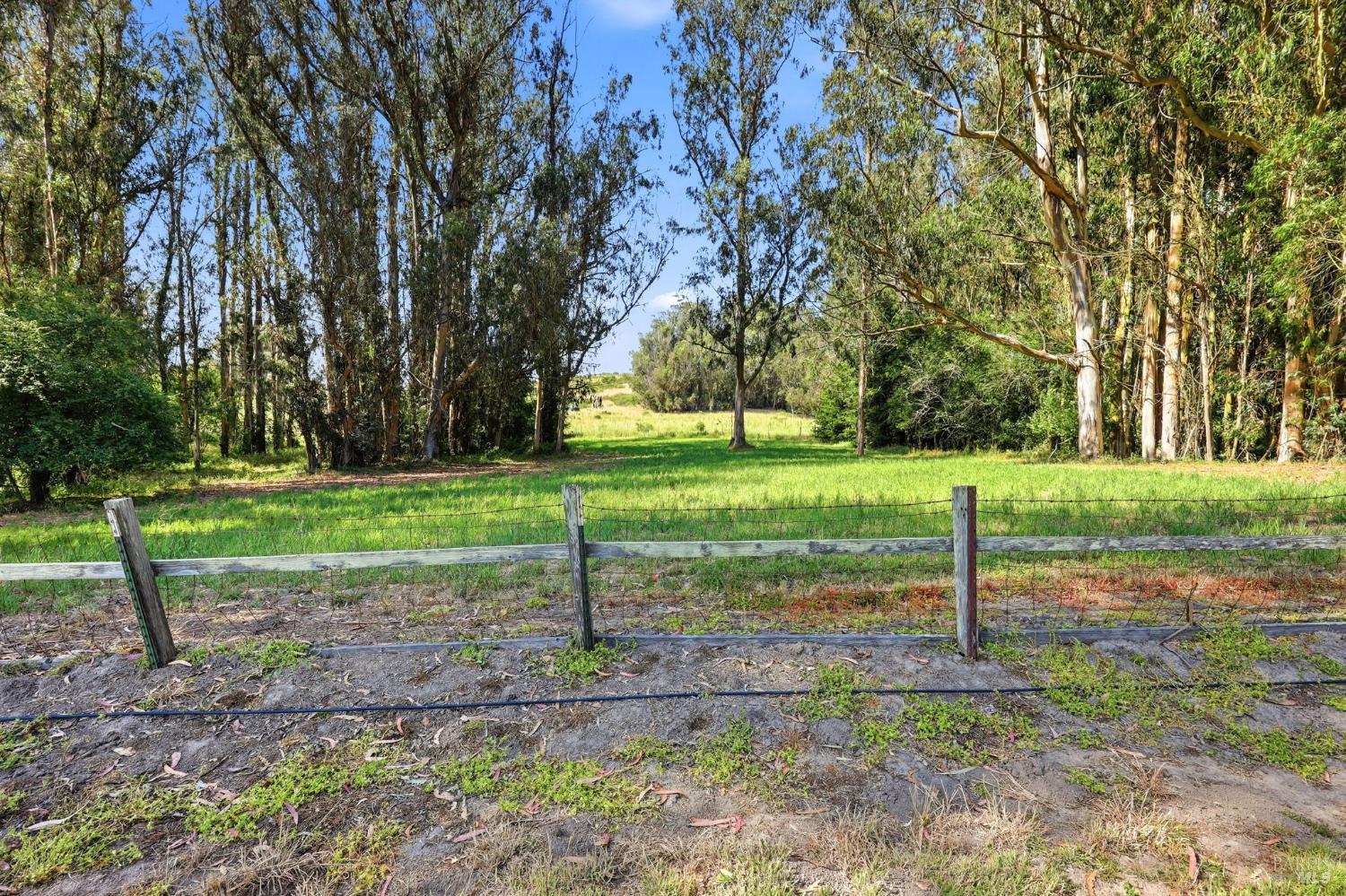 Property photo 46