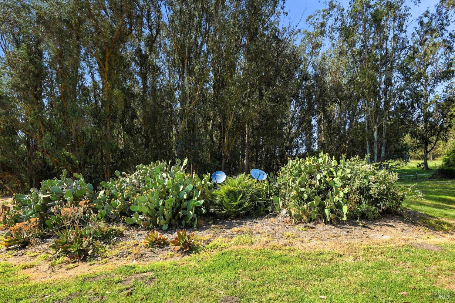 Property photo 47